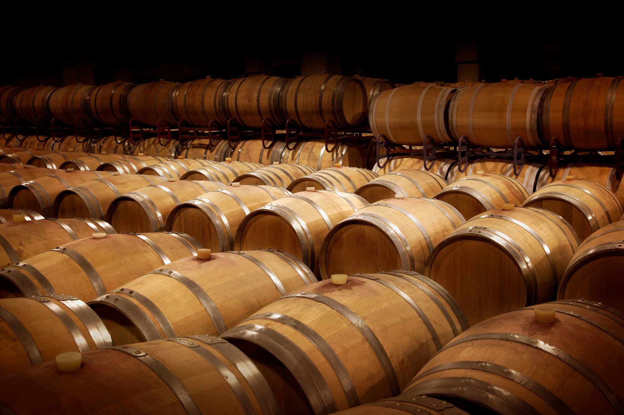 Rows of wine barrels